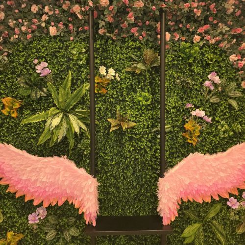 Angel Wings