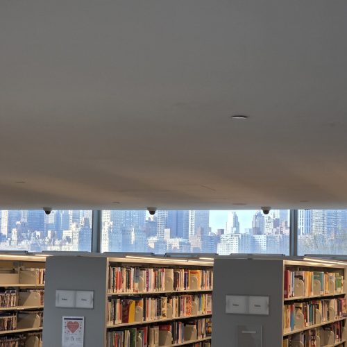 Hunters Point Library Seethrough Manhattan