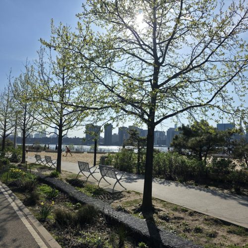 Hunters Point South Park Beach